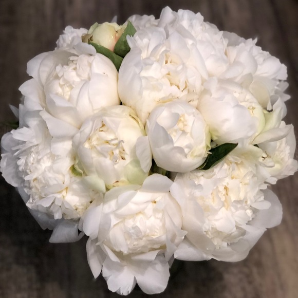 Meet your Posher, Lesslie - Picture 1 of 1